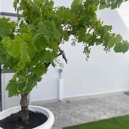 Maisonettes Сasa de vacaciones