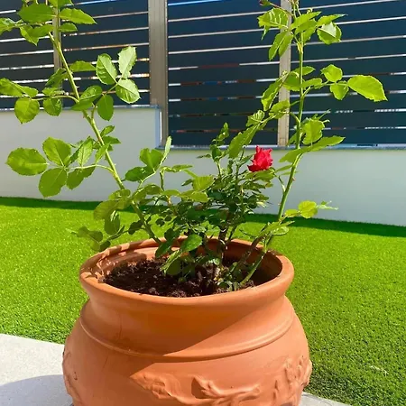 Сasa de vacaciones Maisonettes *