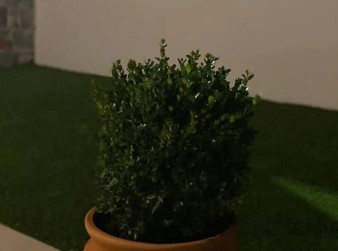 Holiday home Maisonettes Amarynthos