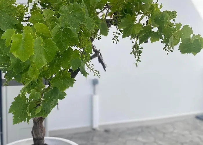 Maisonettes Сasa de vacaciones