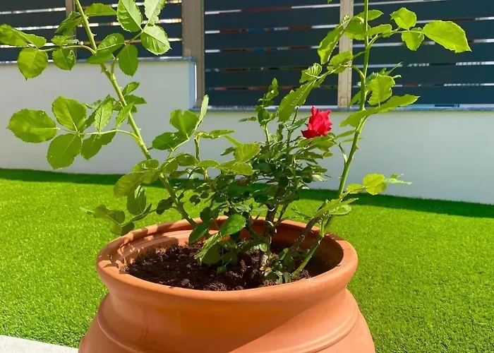 Сasa de vacaciones Maisonettes *